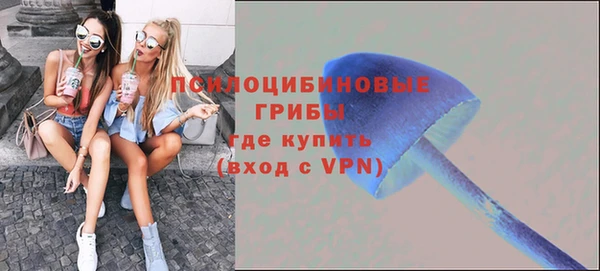 соль ск Алзамай