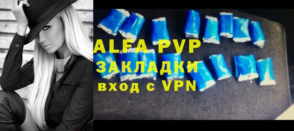 винт Абаза
