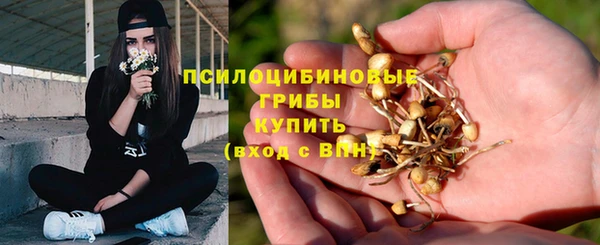 a pvp Абдулино