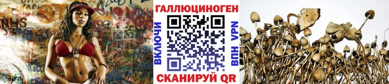 Галлюциногенные грибы Cubensis  как найти наркотики  Ува 